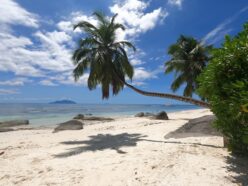 Seychelles offshore company formation